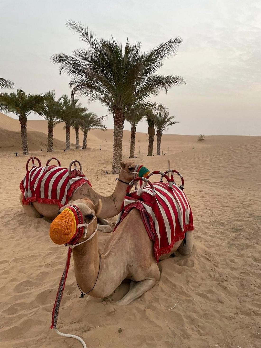 Al Khayma Camp "Elite Glamping & Dining In Experience" Hunaywah Exterior foto